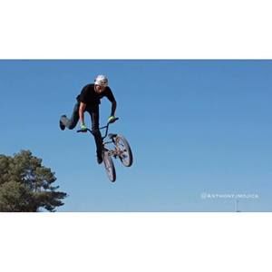 Meet your Posher, Wyatt